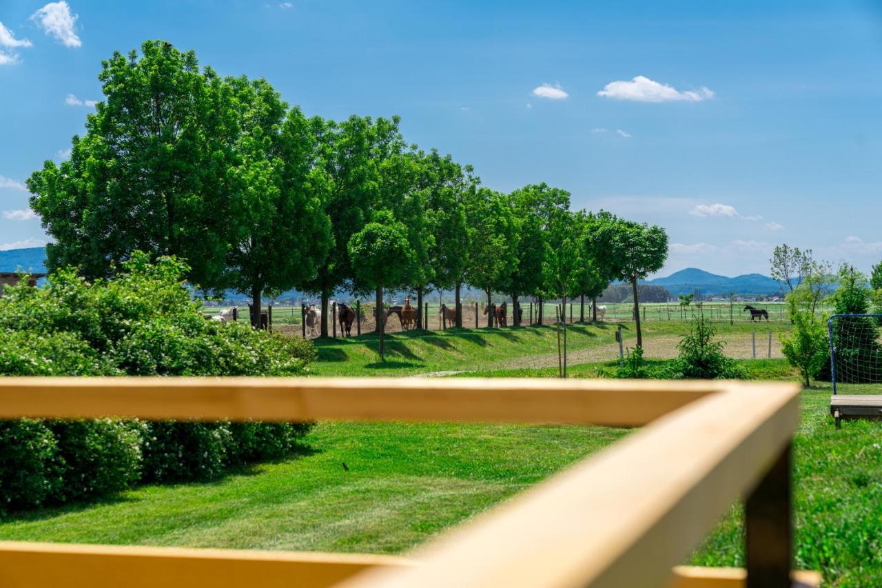 Horse Glamping Park Hotel Cirkovce Exterior foto