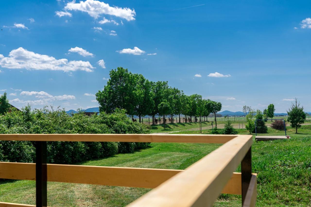 Horse Glamping Park Hotel Cirkovce Exterior foto